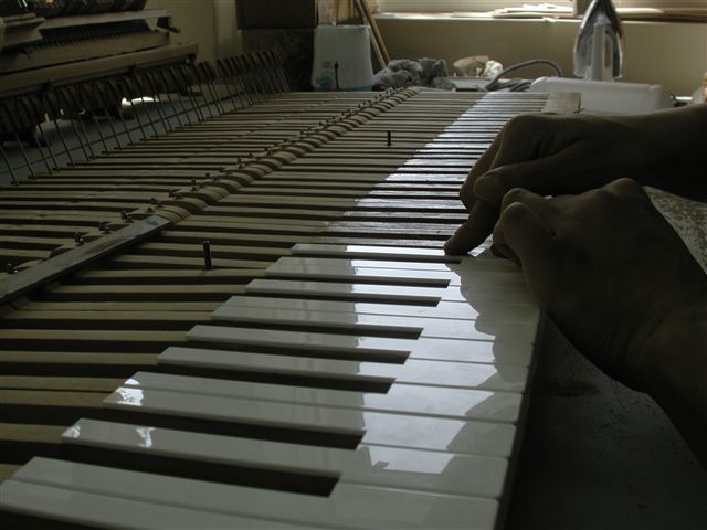 Réparation de dessus de touches blanches de piano