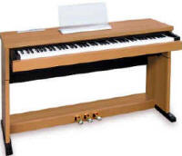 Piano numerique multimesia TECHNICS SX NP10