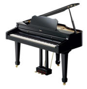 RG-3 ROLAND