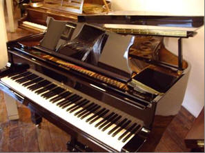 STEINWAY B211