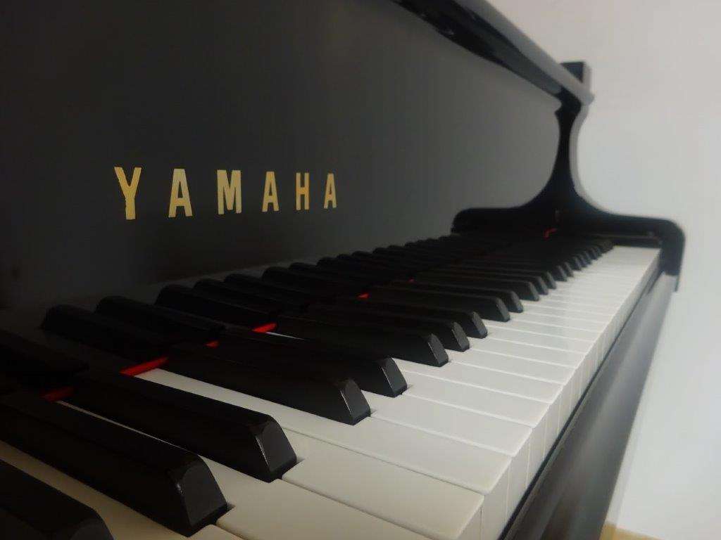 YAMAHA C7