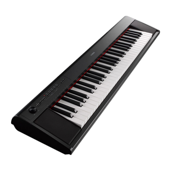 YAMAHA NP-12